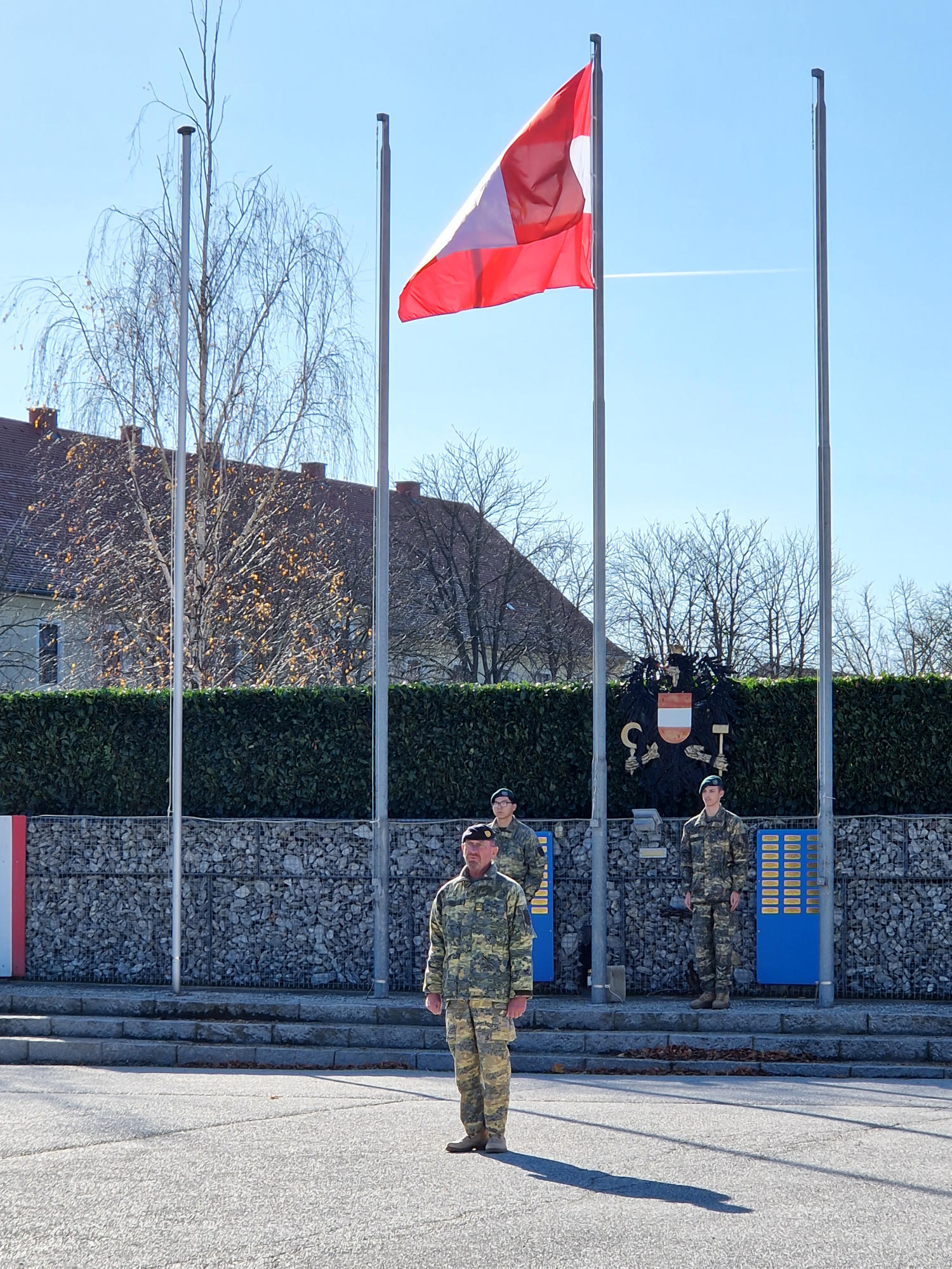 03_20251104_103236_Wolf